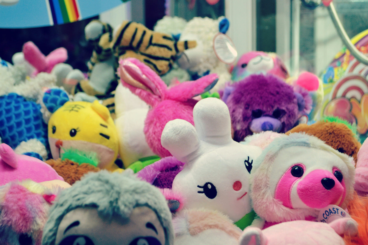 Stuffed Toys