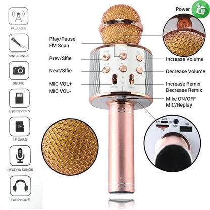 Wireless Microphone with Bluetooth Karaoke – 3-in-1 Mic, Speaker & Recorder