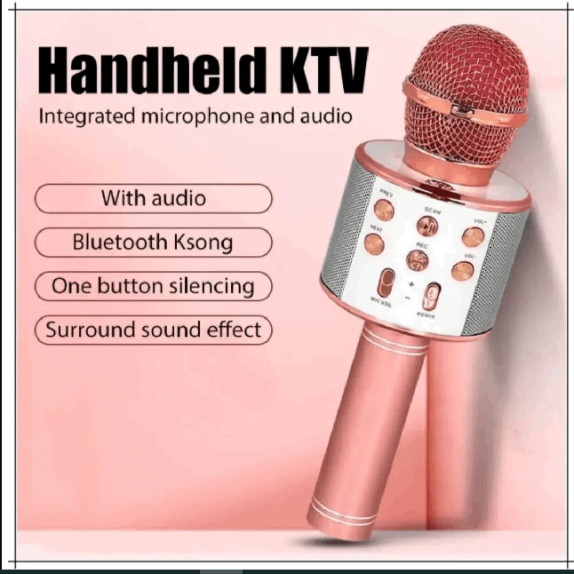 Wireless Microphone with Bluetooth Karaoke – 3-in-1 Mic, Speaker & Recorder