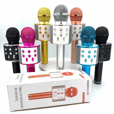 Wireless Microphone with Bluetooth Karaoke – 3-in-1 Mic, Speaker & Recorder